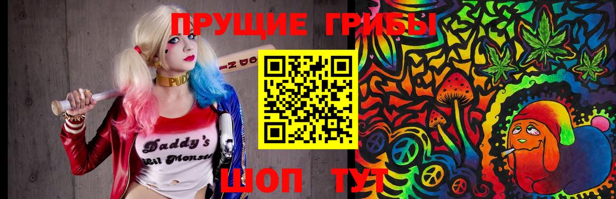Галлюциногенные грибы прущие грибы  Вход с VPN  Энгельс 